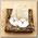 Носки 'Animals' мишка (бежевые)